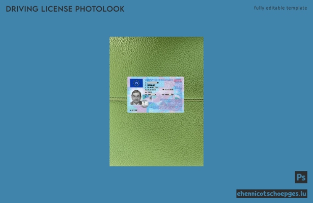 Beispielvorschau für das Foto des lettischen Führerscheins